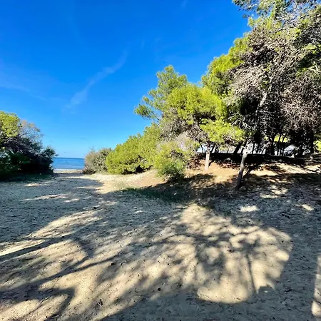 Gallipoli Tra Mare E Pineta Apartment